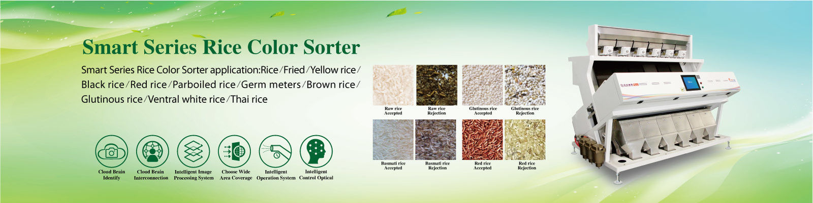 Reis Farbe Sortierer